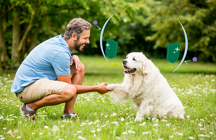 Primavera in sicurezza