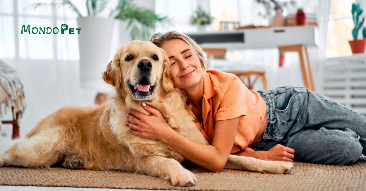 L’asse intestino-comportamento nel cane: quando la scienza cambia il modo in cui osserviamo il benessere animale